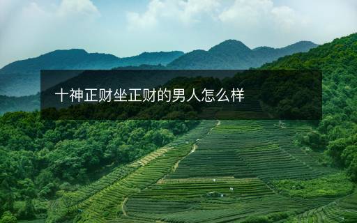 十神正财坐正财的男人怎么样