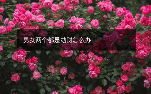 男女两个都是劫财怎么办