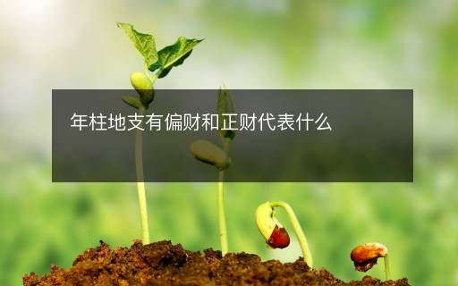 年柱地支有偏财和正财代表什么
