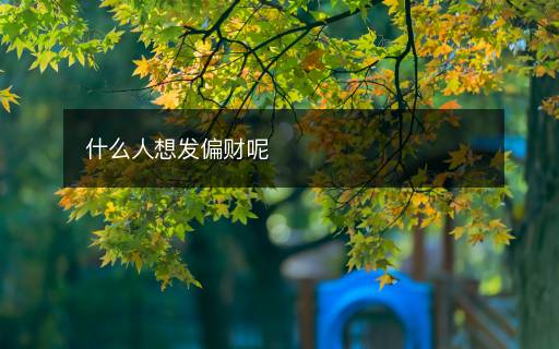 什么人想发偏财呢
