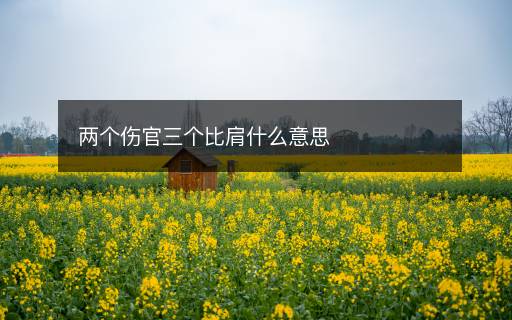 两个伤官三个比肩什么意思 两个伤官三个比肩什么意思