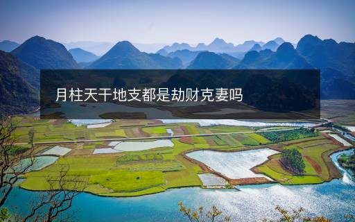 月柱天干地支都是劫财克妻吗