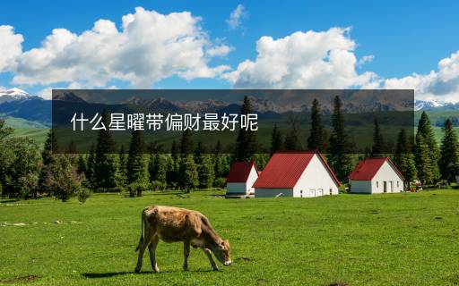 什么星曜带偏财最好呢