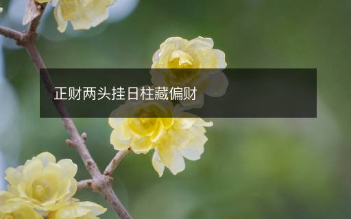 正财两头挂日柱藏偏财