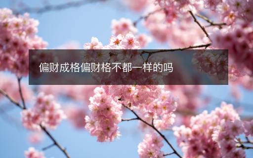 偏财成格偏财格不都一样的吗