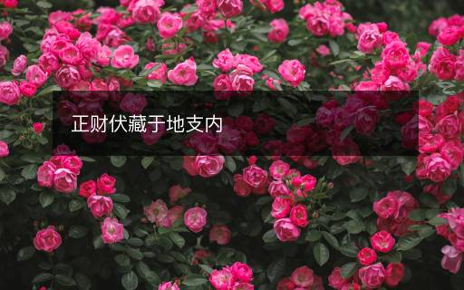 正财伏藏于地支内
