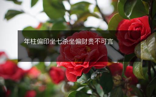 年柱偏印坐七杀坐偏财贵不可言