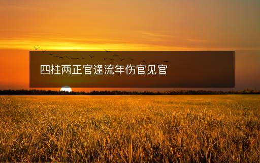 四柱两正官逢流年伤官见官