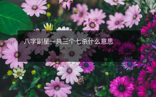 八字副星一共三个七杀什么意思 八字副星一共三个七杀什么意思