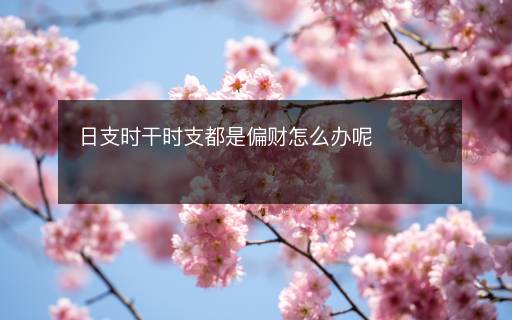日支时干时支都是偏财怎么办呢