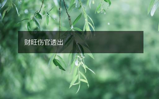 财旺伤官透出