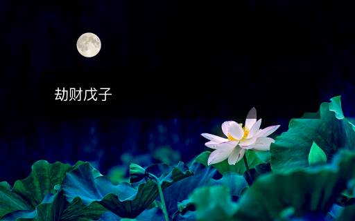 劫财戊子