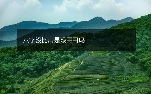 八字没比肩是没哥哥吗