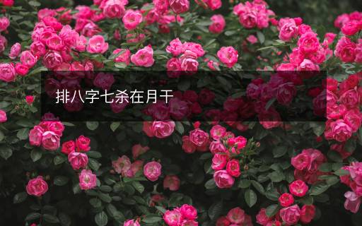 排八字七杀在月干