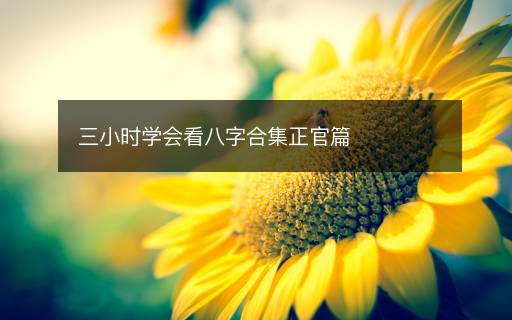 三小时学会看八字合集正官篇