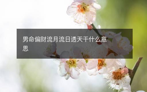 男命偏财流月流日透天干什么意思