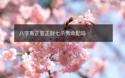 八字有正官正财七杀男命配吗