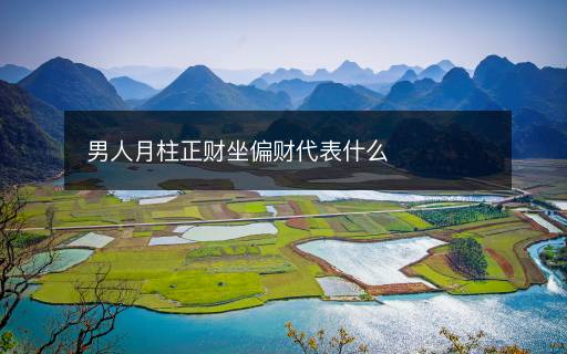 男人月柱正财坐偏财代表什么