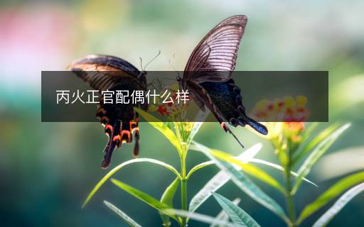 丙火正官配偶什么样 丙火正官配偶什么样