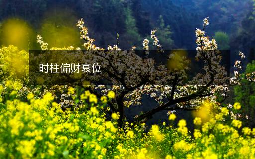 时柱偏财衰位
