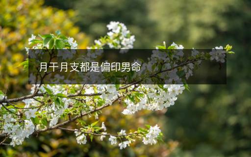 月干月支都是偏印男命