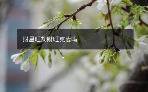 财星旺劫财旺克妻吗