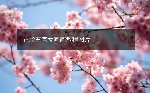 正脸五官女画画教程图片