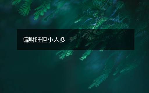 偏财旺但小人多