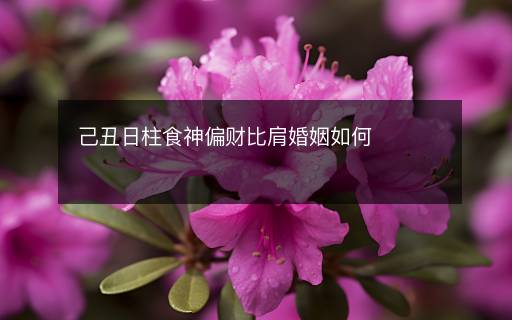 己丑日柱食神偏财比肩婚姻如何