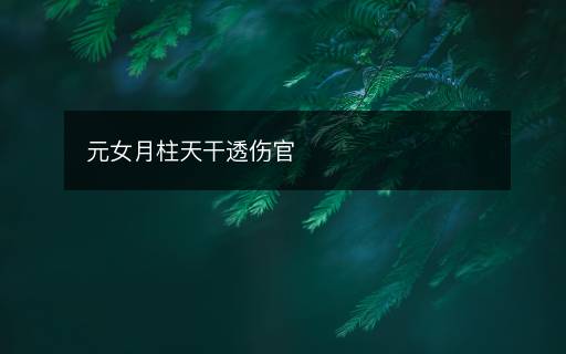 元女月柱天干透伤官