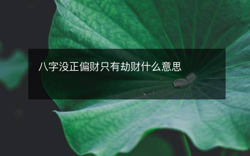 八字没正偏财只有劫财什么意思