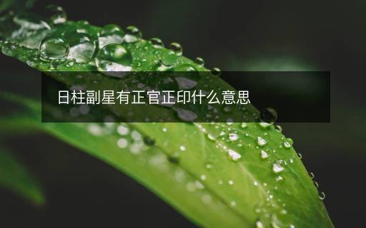 日柱副星有正官正印什么意思 日柱副星有正官正印什么意思