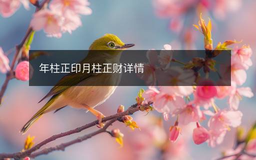 年柱正印月柱正财详情