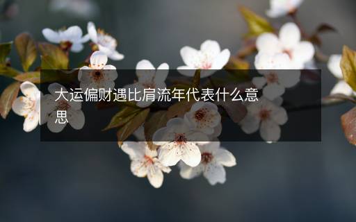 大运偏财遇比肩流年代表什么意思