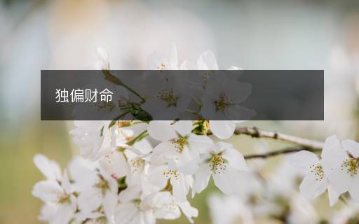 独偏财命