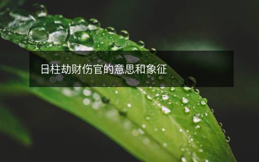 日柱劫财伤官的意思和象征