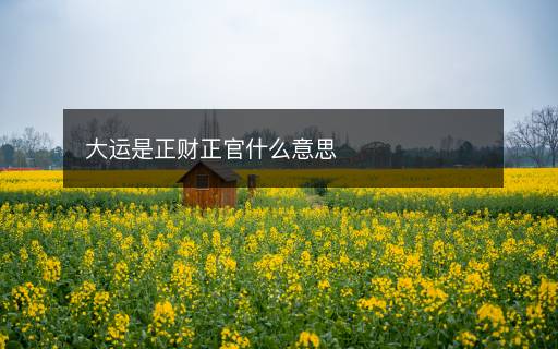 大运是正财正官什么意思