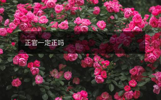 正官一定正吗