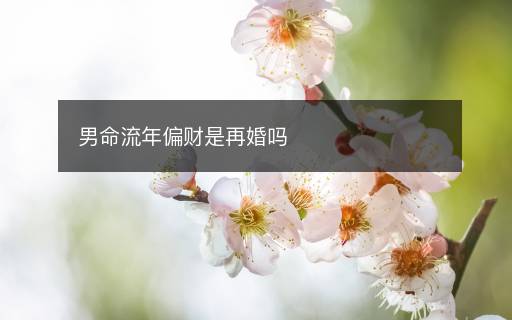 男命流年偏财是再婚吗