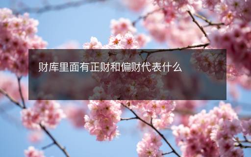 财库里面有正财和偏财代表什么