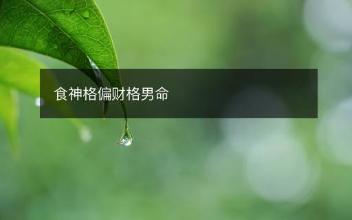 食神格偏财格男命