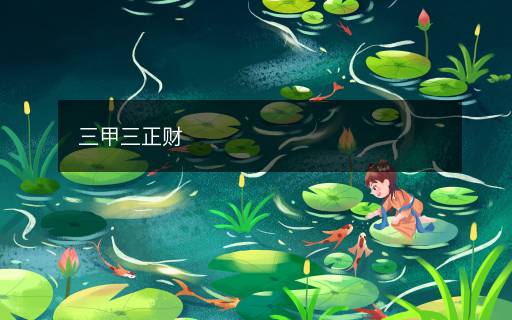 三甲三正财