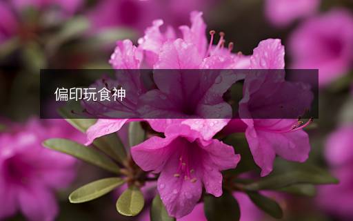 偏印玩食神