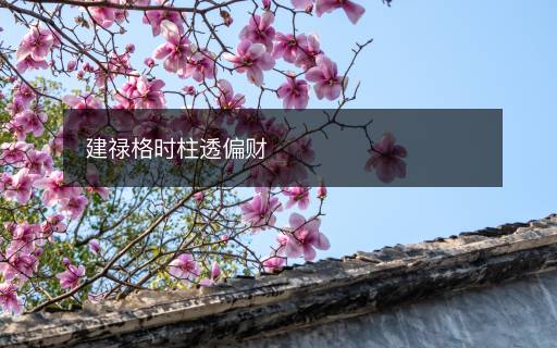 建禄格时柱透偏财