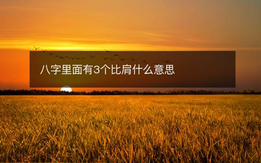 八字里面有3个比肩什么意思 八字里面有3个比肩什么意思