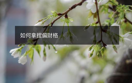 如何拿捏偏财格