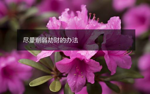 尽量削弱劫财的办法