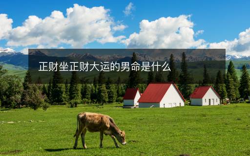 正财坐正财大运的男命是什么