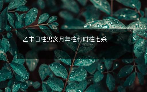 乙未日柱男亥月年柱和时柱七杀