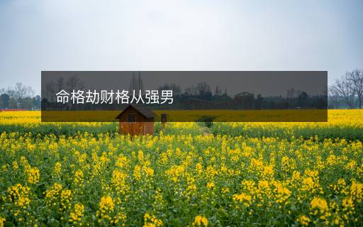 命格劫财格从强男